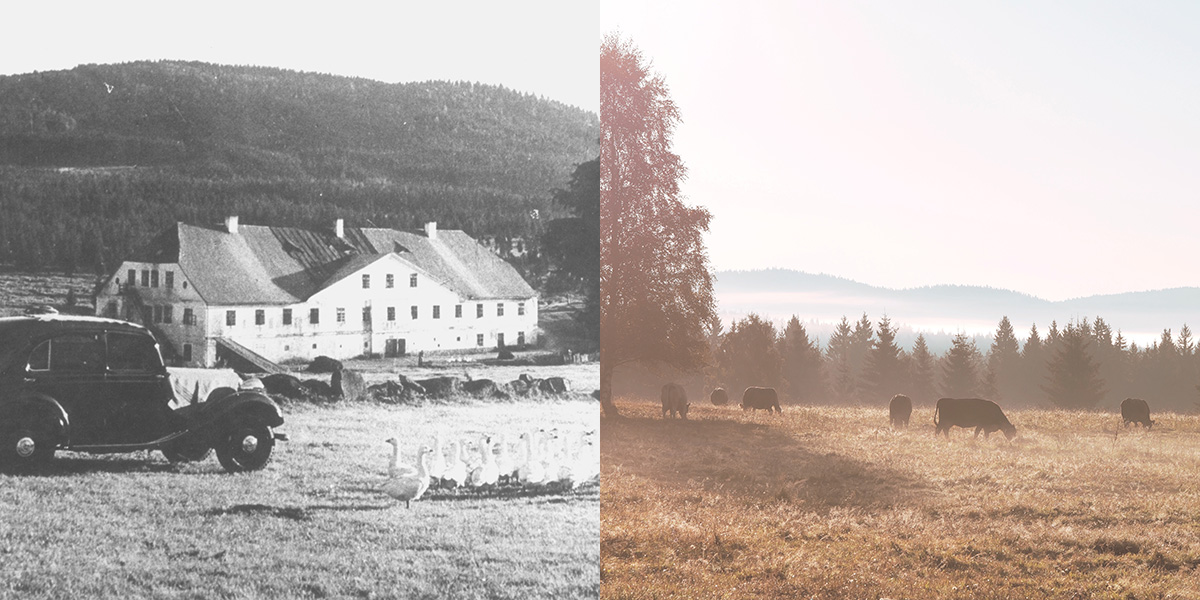 2026-02-05 Was war und was bleibt Foto Museum Fotoatelier Seidel und Václav Čubr_quer