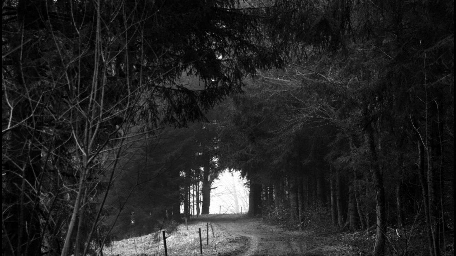 Fotografie Klaus Ditté. Funde und Verluste im Grenzgebiet Böhmerwald
