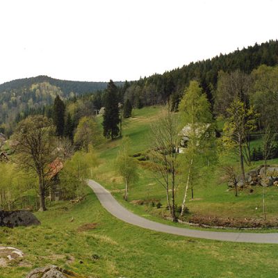 Eine Asphalt-Straße führt durch eine hügelige Landschaft mit Bäumen und vereinzelten Häusern