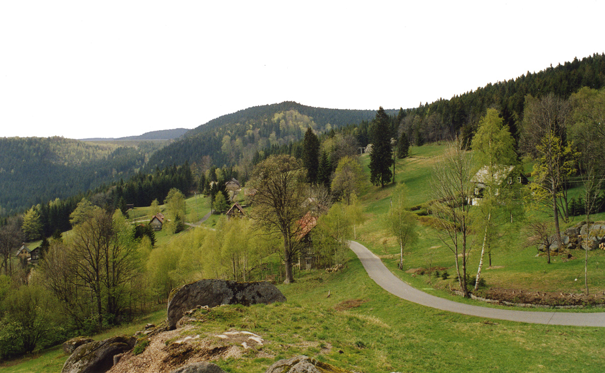 Eine Asphalt-Straße führt durch eine hügelige Landschaft mit Bäumen und vereinzelten Häusern